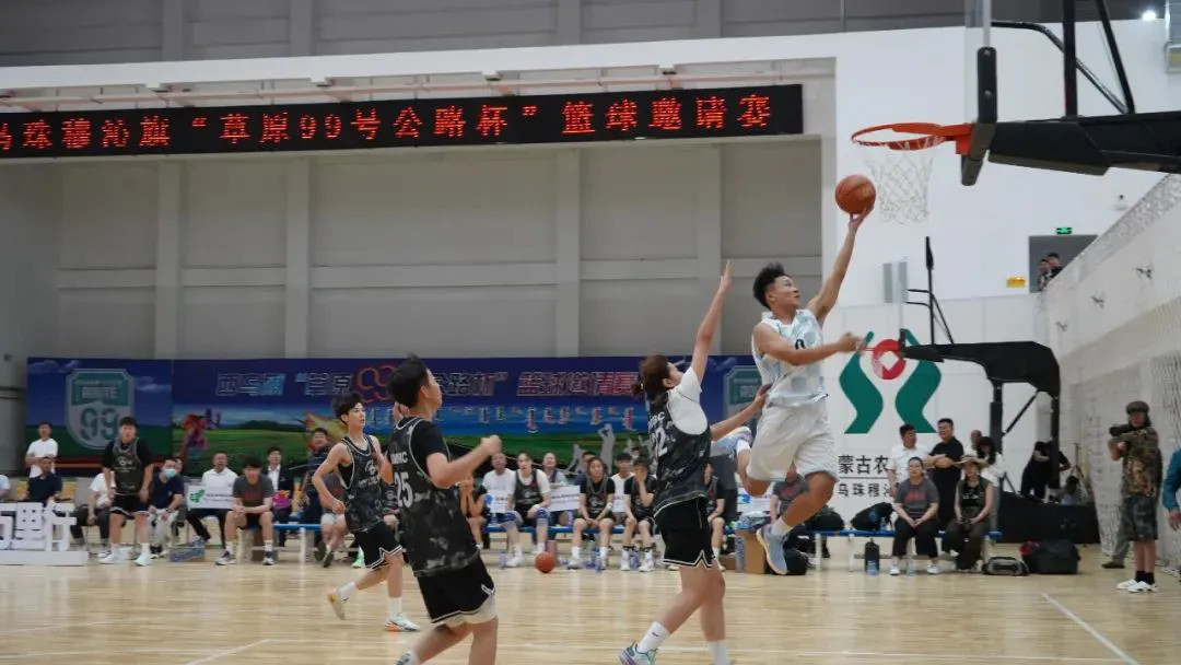 儿童篮球基本功训练内容怎么写的_1