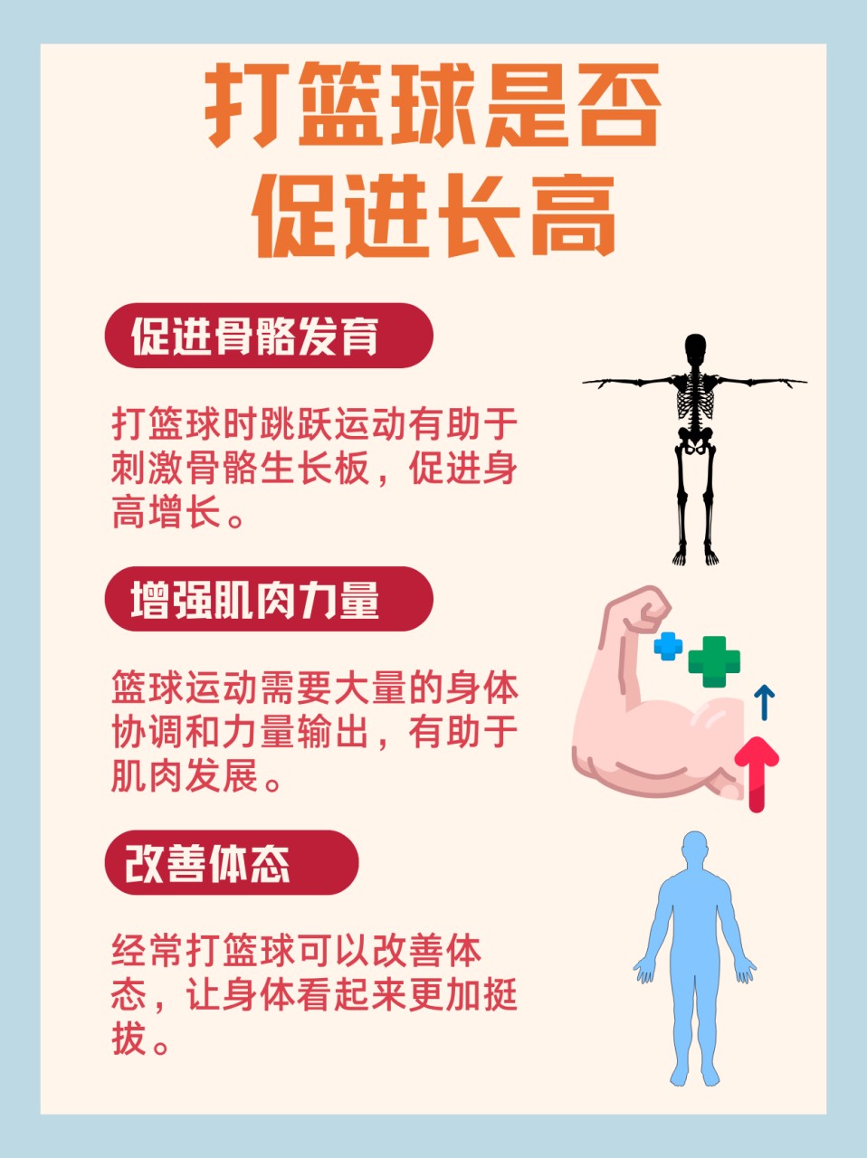 儿童篮球训练计划安排表_0