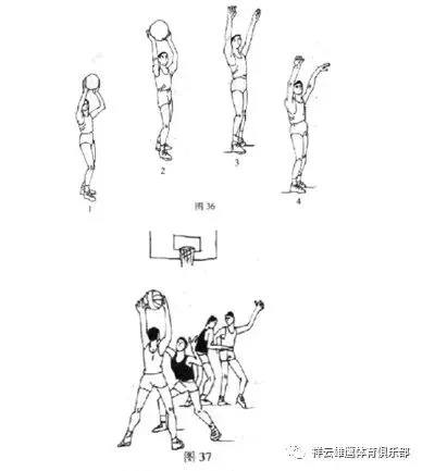 业余爱好者如何在有限时间内追求篮球技能提升_1